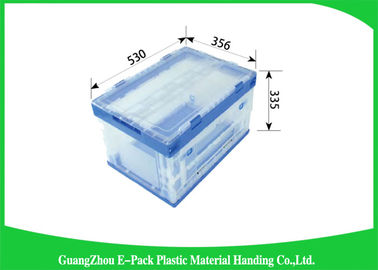 Aangepaste Opvouwbare Plastic die Containerses voor Groente en Vruchten Opslag wordt opgeslagen