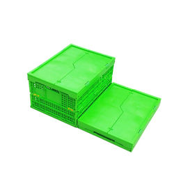 Het aangepaste Groene Plastic Vouwende Krat Mesh Body van pp + Stevige Bodem