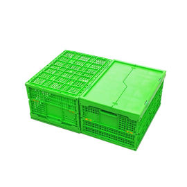 Het aangepaste Groene Plastic Vouwende Krat Mesh Body van pp + Stevige Bodem