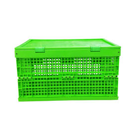 Het aangepaste Groene Plastic Vouwende Krat Mesh Body van pp + Stevige Bodem