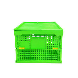Het aangepaste Groene Plastic Vouwende Krat Mesh Body van pp + Stevige Bodem