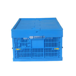 Het lichtgewicht Vouwbare het Voedsel van het Plastic Container600*400 Mm Maagdelijke Polypropyleen Laden