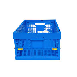 600*400*250 Duurzaamheid van de de Kratten Stevige Bodem van mm de Maagdelijke pp Plastic Opvouwbare