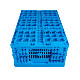 De verse Plastic Opvouwbare Kratten 600*400*240 mm Mesh Structure van de Voedsellading
