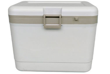 Het Geïsoleerde Schuim 17L van pp + Pu-koelt Doos voor Storaging-Voedsel, Drank in Auto's