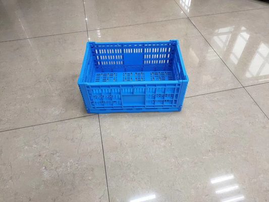 Verticaal die Fruit en de Plantaardige Bakken van de het Vervoermand van het Plastic Kratten Verse Voedsel met Gaten stapelen