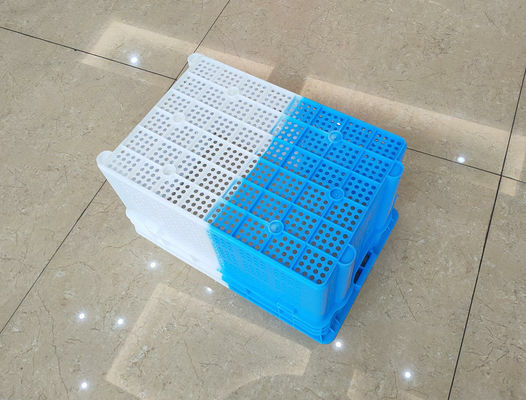 Dubbele Kleur die Nestable Plastic Kratten voor Vruchten en Groenten verschepen