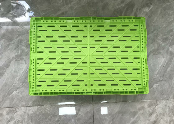 Polyethyleenfruit en Plantaardige Plastic Kratten voor het Verschepen Kleurendouane