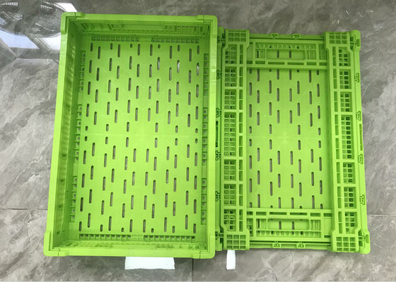 Polyethyleenfruit en Plantaardige Plastic Kratten voor het Verschepen Kleurendouane