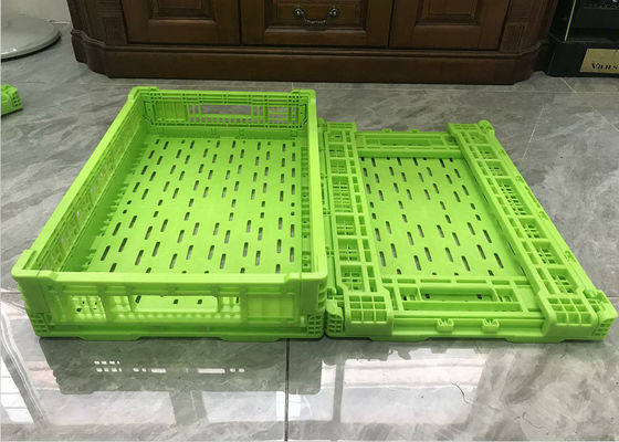 Polyethyleenfruit en Plantaardige Plastic Kratten voor het Verschepen Kleurendouane