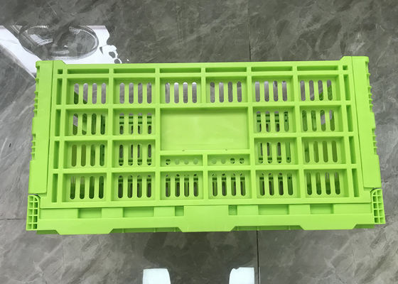 Het Fruit en Plantaardige Plastic Kratten Maagdelijke pp van de voedselrang 300mm Hoogte