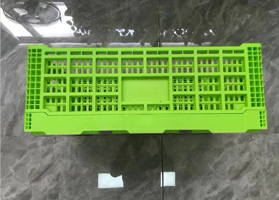 Groene Omzet Vouwbare Plastic Kratten met Mesh Base Light Weight