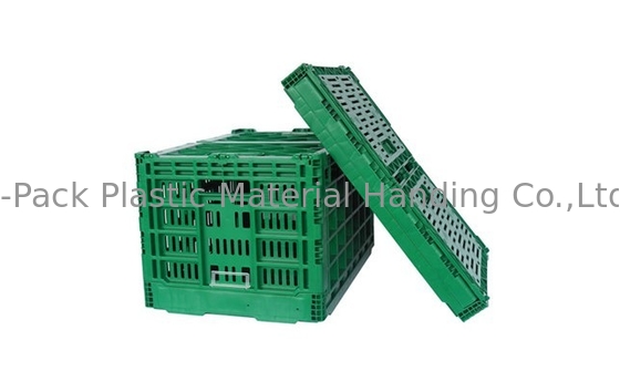 het Maagdelijke pp Op zwaar werk berekende Fruit van 3.4kg 100% en Plantaardige Plastic Kratten