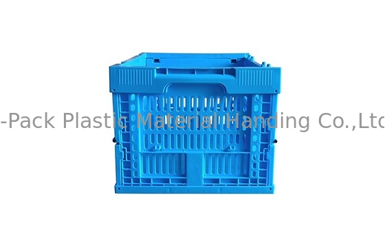 Kleine Grootte 400*300mm Blauw Fruit en Plantaardige Plastic Kratten