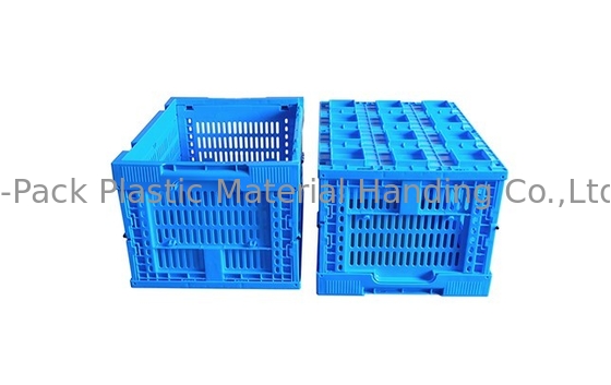 Kleine Grootte 400*300mm Blauw Fruit en Plantaardige Plastic Kratten