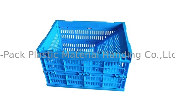 Kleine Grootte 400*300mm Blauw Fruit en Plantaardige Plastic Kratten